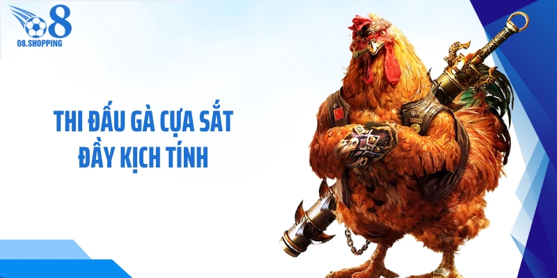 Thi đấu gà cựa sắt đầy kịch tính