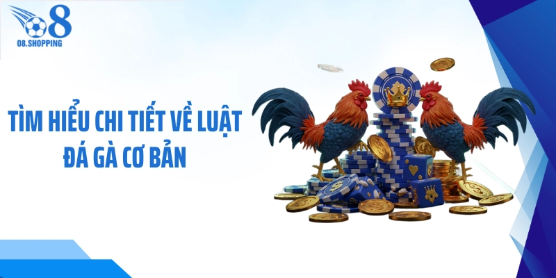 Tìm hiểu chi tiết về luật đá gà cơ bản 